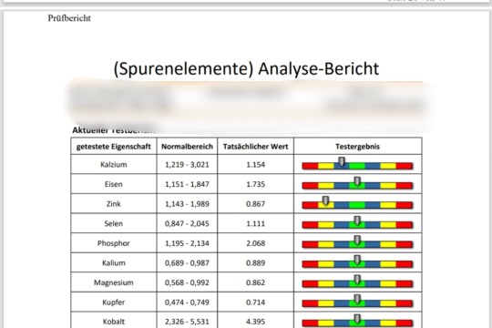 5 NA_Bericht_Spurenelemente.jpg